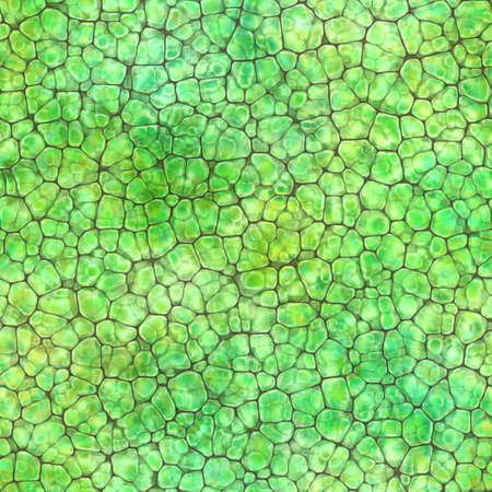 Cartoon seamless texture of color fantasy cobble stone ground pavement. Soft shaped rocks as background - illustrated seamless textureの写真素材