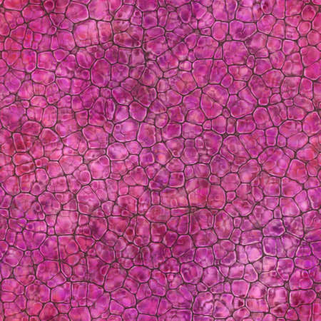 Cartoon seamless texture of color fantasy cobble stone ground pavement. Soft shaped rocks as background - illustrated seamless textureの写真素材