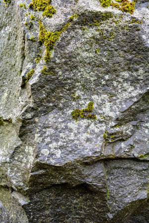 Ancient stone surface with green moss and lichen