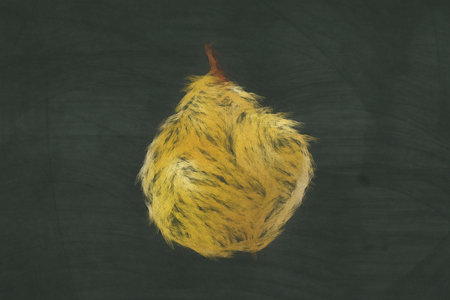 Chalk pear illustration on empty realistic school blackboard texture. Close up of chalkboard background with hand drawn pearの写真素材