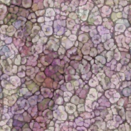 Lichen, Mushroom, Fungus family of different colors as organic seamless pattern. Different species of microorganisms produce unique textures.の写真素材