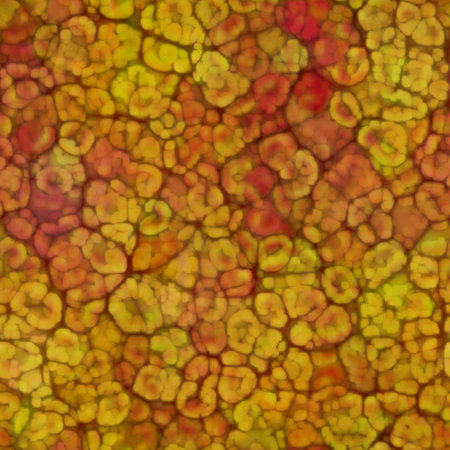 Lichen, Mushroom, Fungus family of different colors as organic seamless pattern. Different species of microorganisms produce unique textures.の写真素材