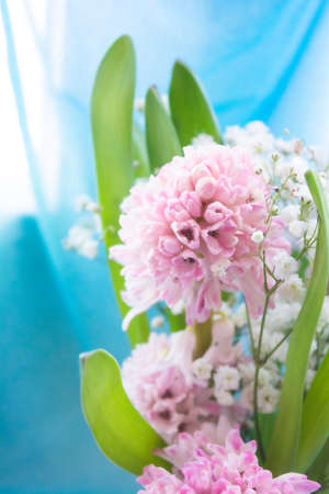 Bouquet of Beautiful pink Hyacinth with green leaves and branches with little white flowers of Gypsophila. Close-up spring Hyacinth flowers. Floral wallpaperの写真素材