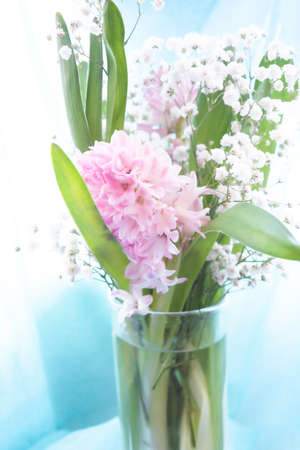 Bouquet of Beautiful pink Hyacinth with green leaves and branches with little white flowers of Gypsophila. Close-up spring Hyacinth flowers. Floral wallpaperの写真素材