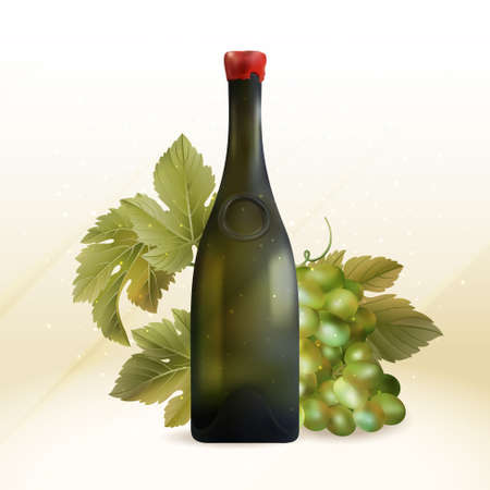 Vector image of realistic wine bottle and grapesのイラスト素材