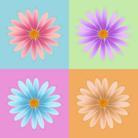 daisy flower vector, colorful daisy vector, flower vectorのイラスト素材