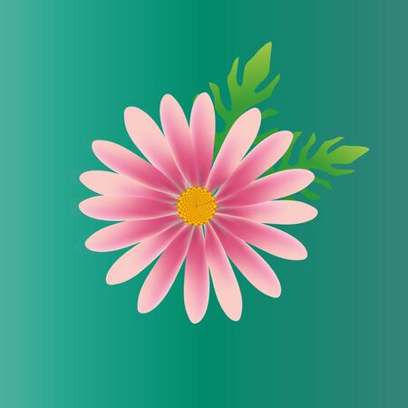 daisy flower vector, colorful daisy vector, flower vectorのイラスト素材
