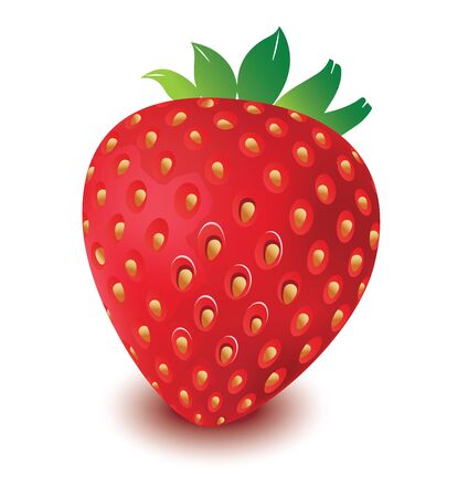 strawberry vector in white background, strawberry vector, fruit vectorのイラスト素材