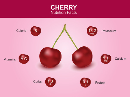 cherry nutrition facts cherry fruit with information cherry vectorのイラスト素材