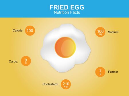 fried egg nutrition facts fried egg with information fried egg vectorのイラスト素材
