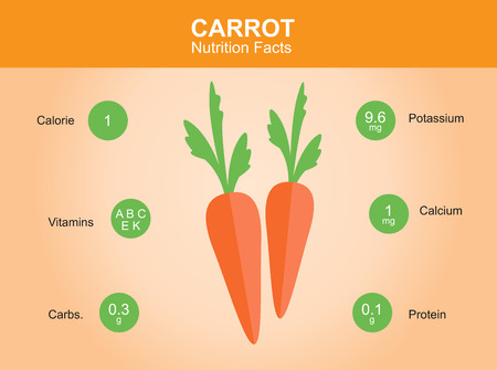 carrot nutrition facts carrot with information carrot vectorのイラスト素材