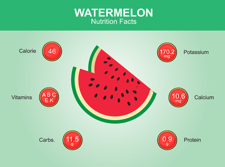 watermelon nutrition facts watermelon fruit with information watermelon vectorのイラスト素材