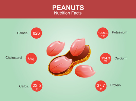 peanuts nutrition facts peanuts with information peanuts vectorのイラスト素材