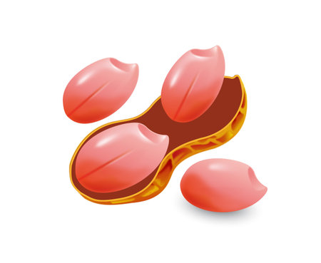 peanuts peanuts vector isolated peanutsのイラスト素材