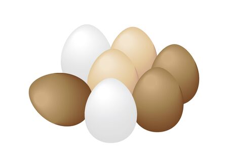 eggs on a white background, eggs isolated on white.のイラスト素材