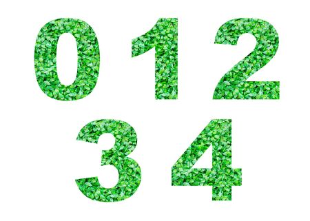 Numbers 0,1,2,3,4 of green grass isolated on white.の写真素材