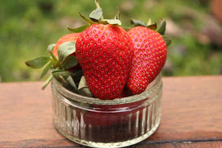 Strawberryの写真素材