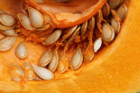Pumpkinの写真素材