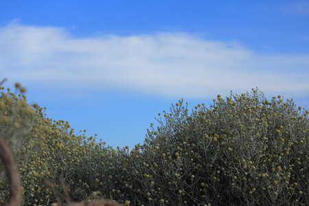 art of natureの写真素材