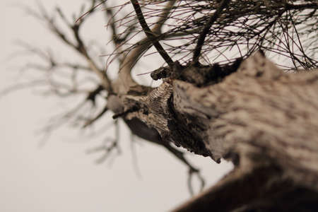 art of natureの写真素材