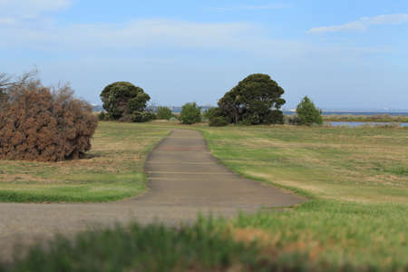 park by the beachの写真素材