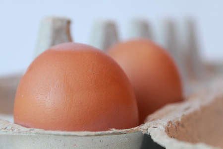 eggsの写真素材