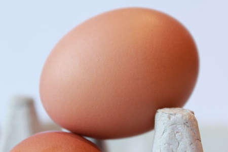 eggsの写真素材