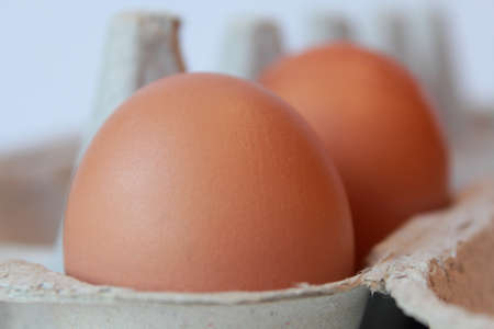 two eggsの写真素材