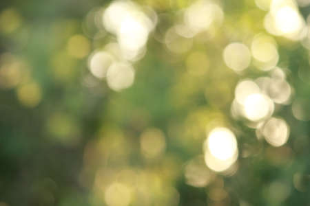 green blurred backgroundの写真素材
