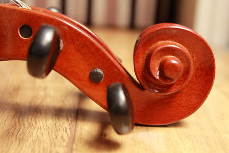 violinの写真素材