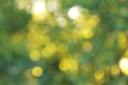 green blurred backgroundの写真素材