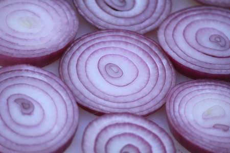 red onionの写真素材
