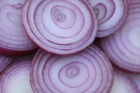 red onionの写真素材