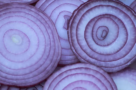 red onionの写真素材