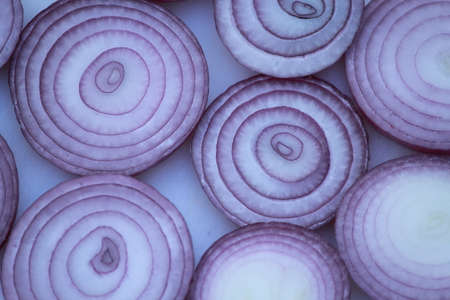 red onionの写真素材