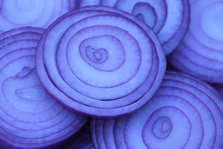 red onionの写真素材