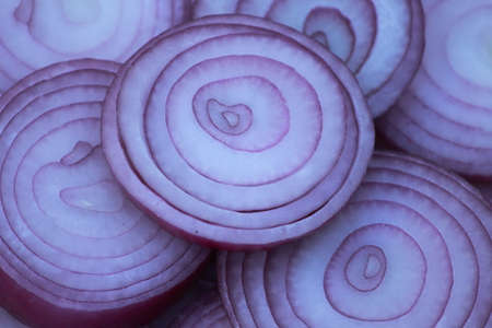 red onionの写真素材