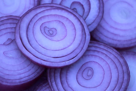 red onionの写真素材