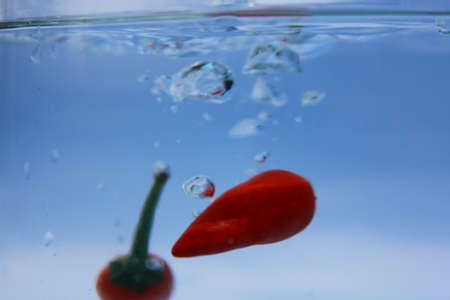 red chilli in waterの写真素材