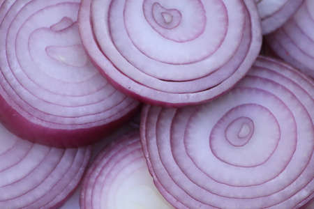 red onionの写真素材