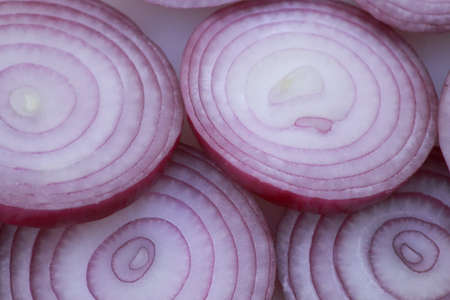 red onionの写真素材
