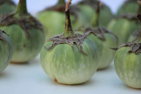 eggplantの写真素材