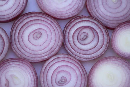 red onionの写真素材