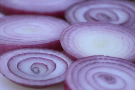 red onionの写真素材