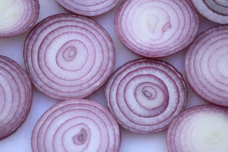 red onionの写真素材