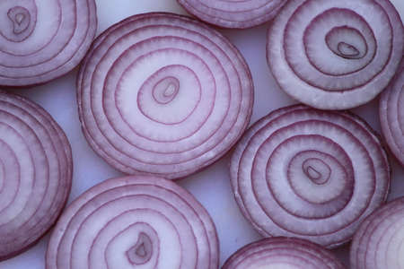 red onionの写真素材