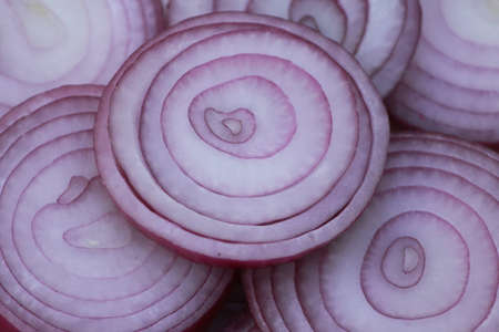 red onionの写真素材