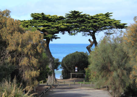park along the beachの写真素材
