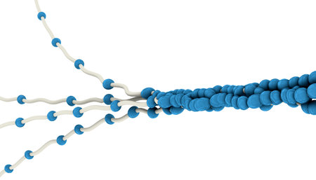 abstract biological structures illustration in 3d