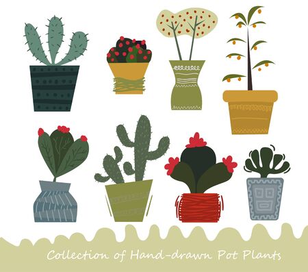 Collection of hand-drawn potted flowers and cactusのイラスト素材
